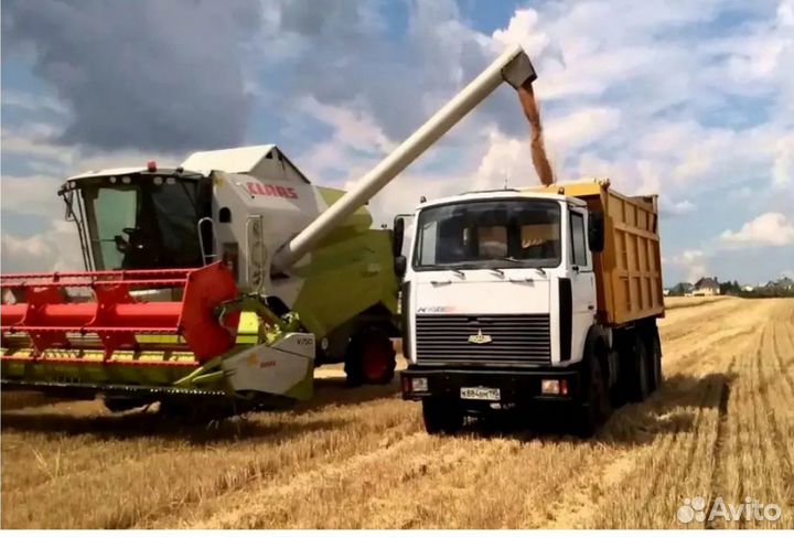 Водитель на самосвал Маз