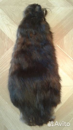 Шкурки: норка, нутрия, куница