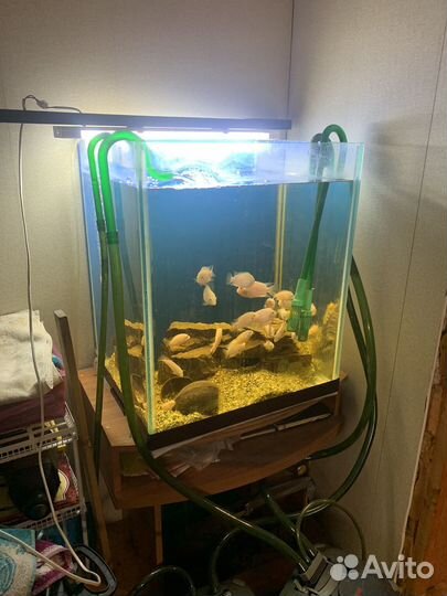 Ремонт аквариумов