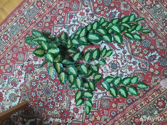 Декоративные ветки,б/у, в хорошем состоянии