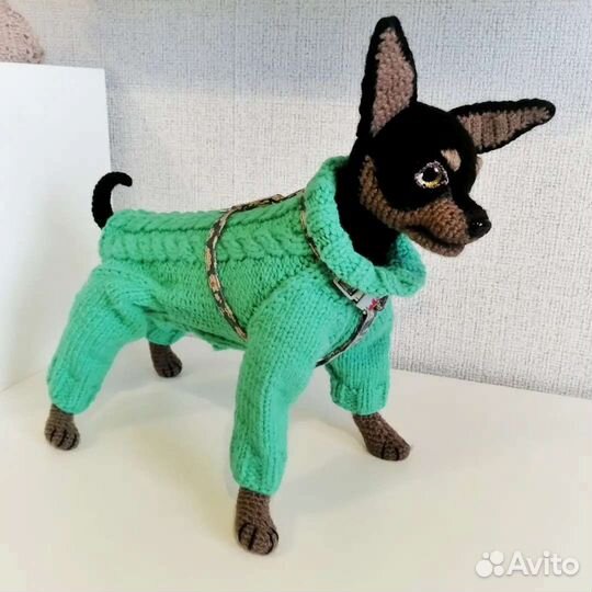 Русский той терьер игрушка собака