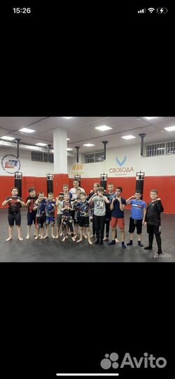 Детские тренировки мма/единоборства для детей