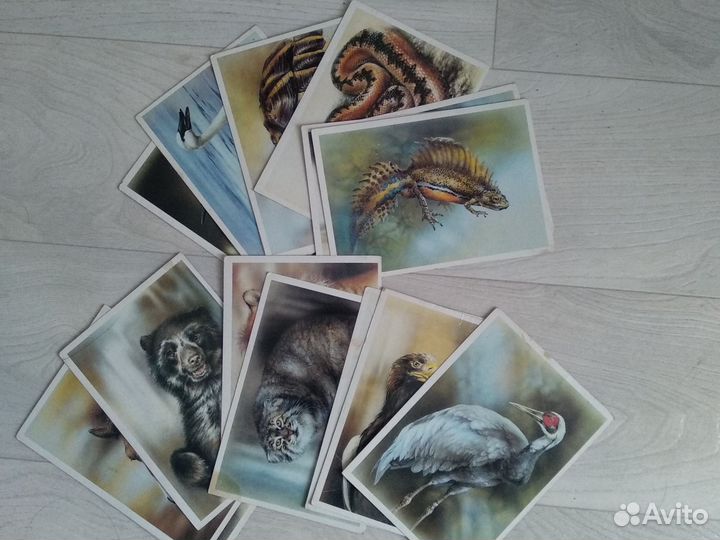 Сборники открыток