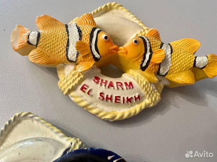 Магнит Египет Шарм эль шейх рыбки