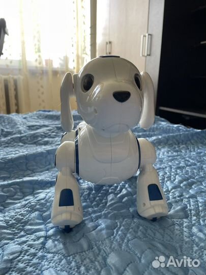 Собака-робот