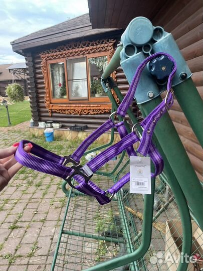 Недоуздок для лошади