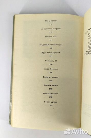 Воздушный казак Вердена. Гальперин Книга не читана