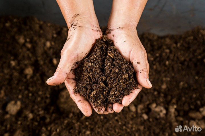 Торф верховой