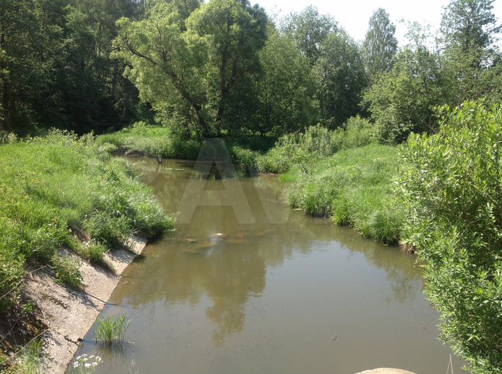 Участок 10 сот. (СНТ, ДНП)