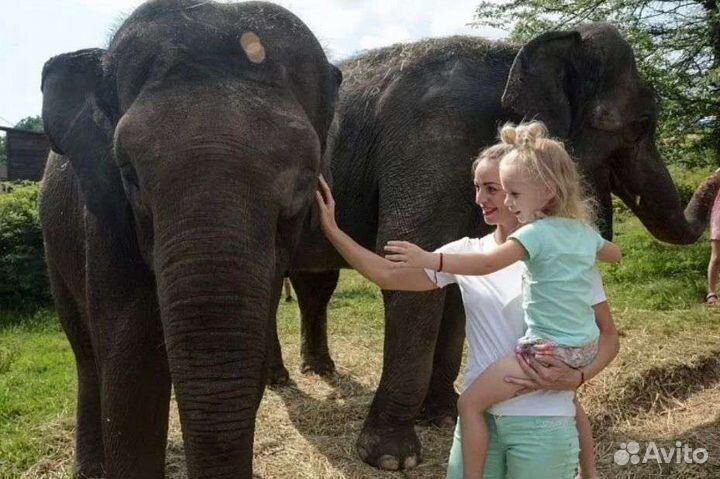 Эко-парк со Слонами