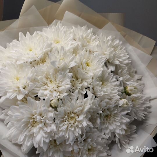 Букет из хризантем Доставка букетов