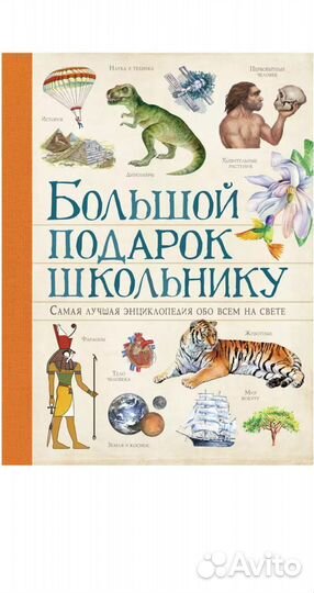 Книжка большой подарок школьнику