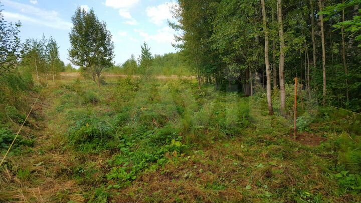 Участок 8,4 сот. (ИЖС)