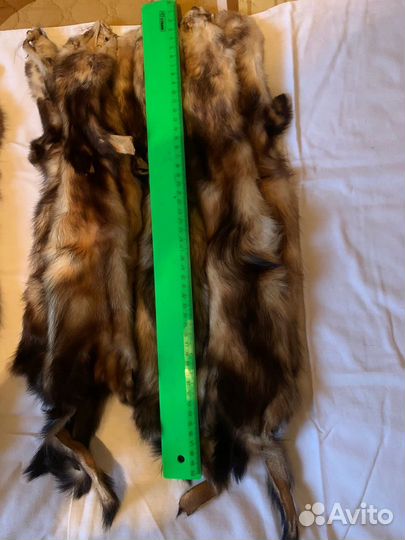 Шкуры норки