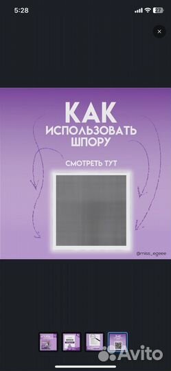 Шпоры обществознание ЕГЭ