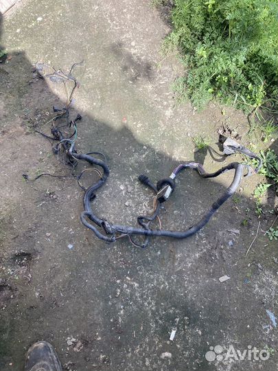 Проводка двигателя Змз 409