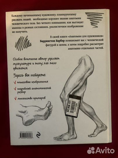 Книга Анатомия для художников