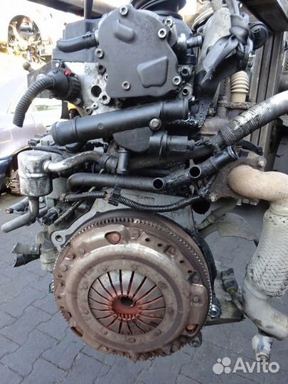 Двигатель VW Audi AMF BHC BAY 1.4 TDI 75 л/с