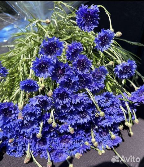 Букеты из василька и ромашки