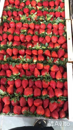 Овощи и Фрукты