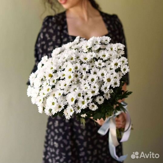 Хризантема Доставка цветов Букеты