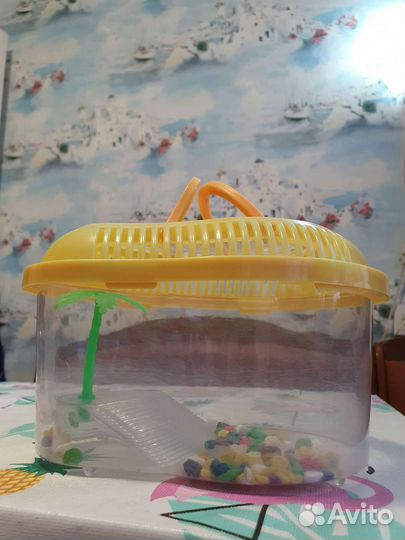 Переноска-террариум