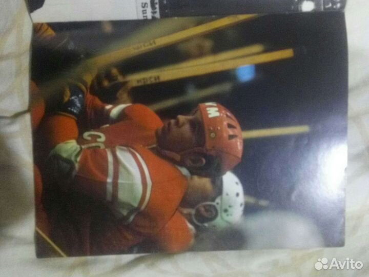 Ледовые рыцари