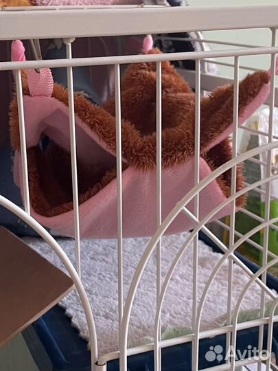 Гамак для грызунов