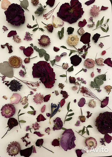 Наборы сухоцветов для творчества