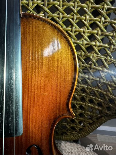 Аренда скрипки 3/4