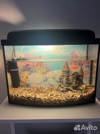 Аквариум