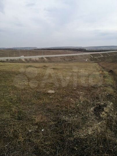 Участок 100 сот. (СНТ, ДНП)