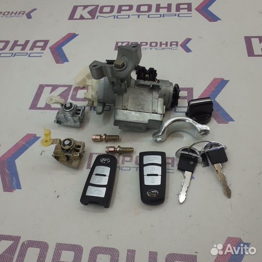 Набор личинок (система peps) lifan X70