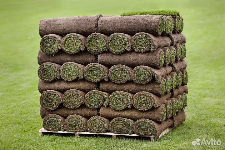 Рулонный газон из Перми