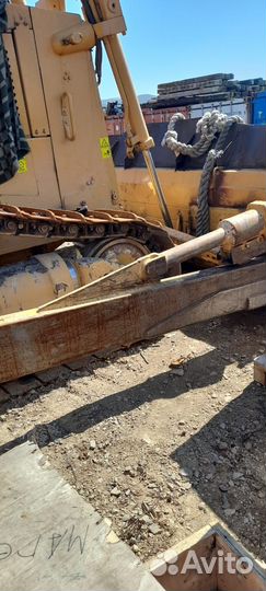 SHEHWA (HBXG) SD7, 2021