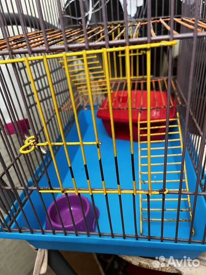 Клетка для грызунов бу