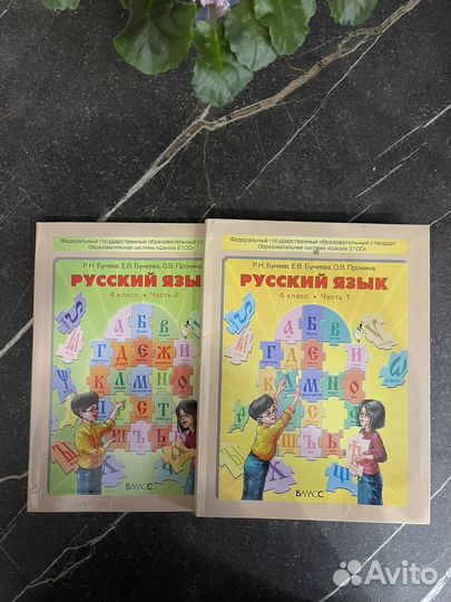 Учебник Русский язык 4 класс Бунеева