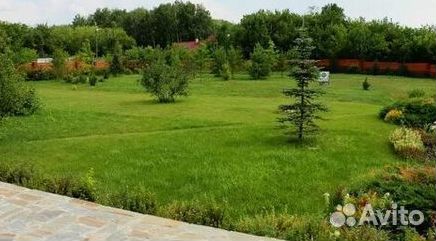 Рулонный газон