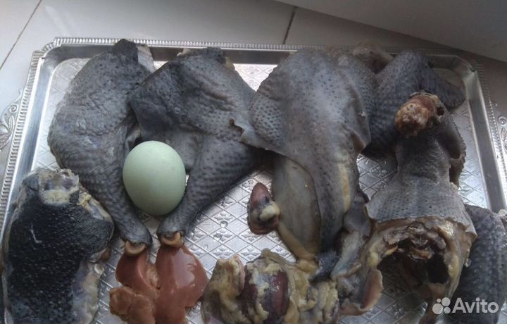 Мясо черных кур