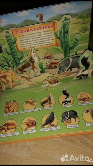 Книга музыкальная