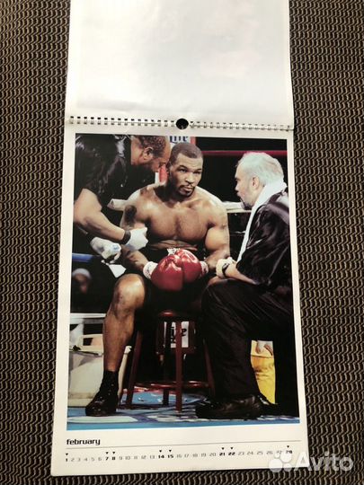 Календарь майк тайсон