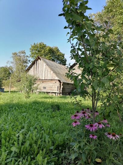 Дом 48 м² на участке 38 сот.