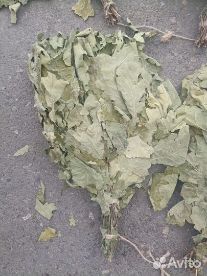 Веник для бани дубовый оптом