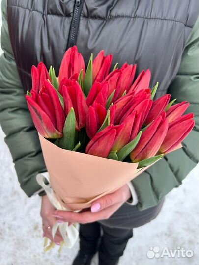 Красные тюльпаны к 8 марта