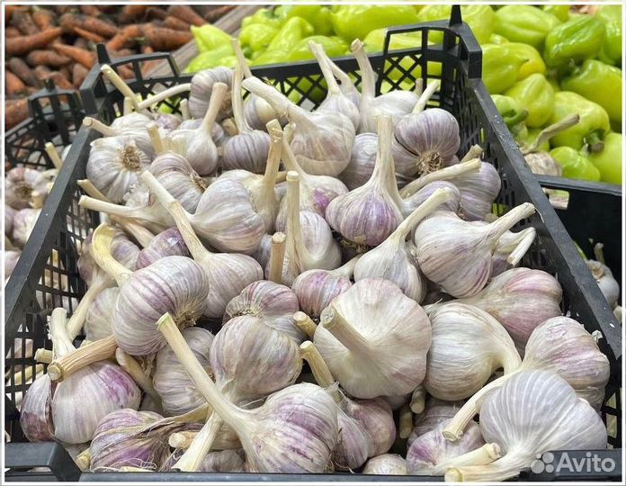 Готовый бизнес с доходностью до 50% годовых