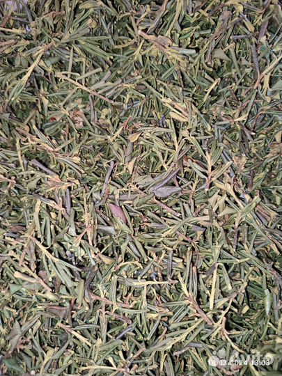 Саган дайля