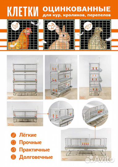 Клетки для кур