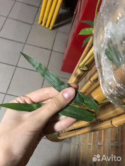 Искусственное дерево натуральный бамбук