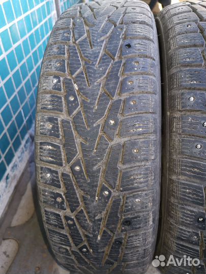 Nokian Tyres Nordman 7 175/70 R14