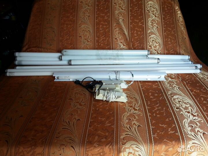 Лампы (цена за всё)